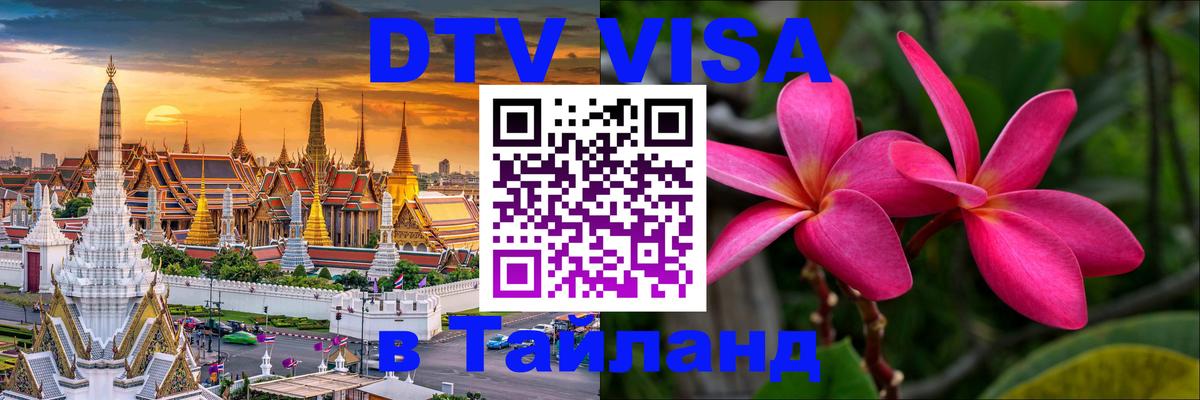 Оформление DTV визы под ключ: стоимость и тарифы, только загранпаспорт - 